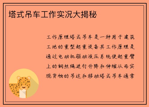 塔式吊车工作实况大揭秘