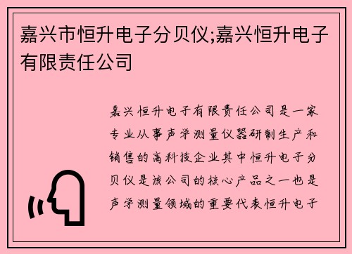嘉兴市恒升电子分贝仪;嘉兴恒升电子有限责任公司